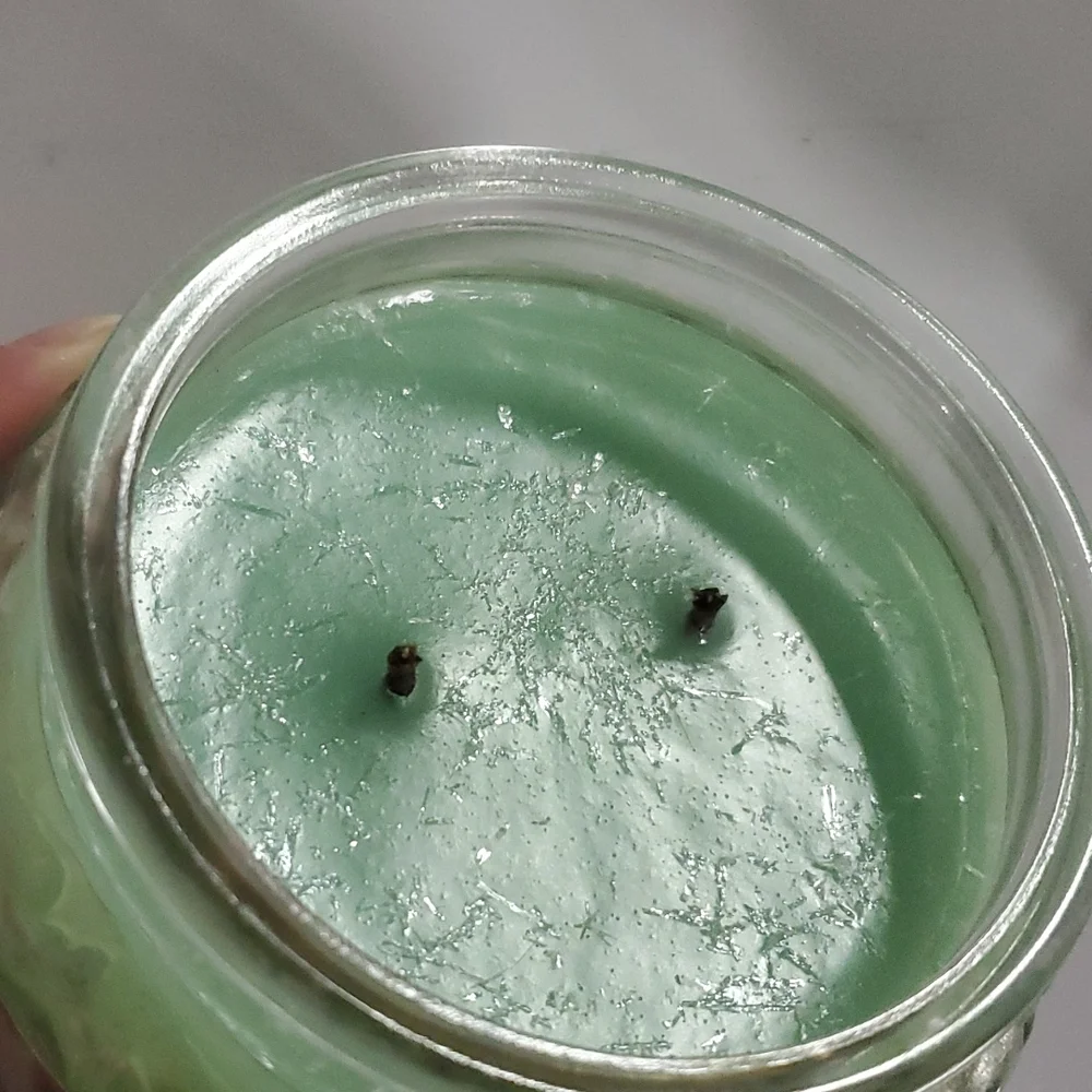 OLD FASHIONED MINT ICE CREAM small/8 oz Gold Canyon‎ two-wick candle